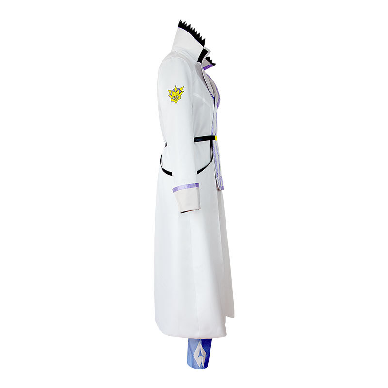 Костюм для косплея Рейнхарда В – обзор и цена Anime Cosplay To Buy